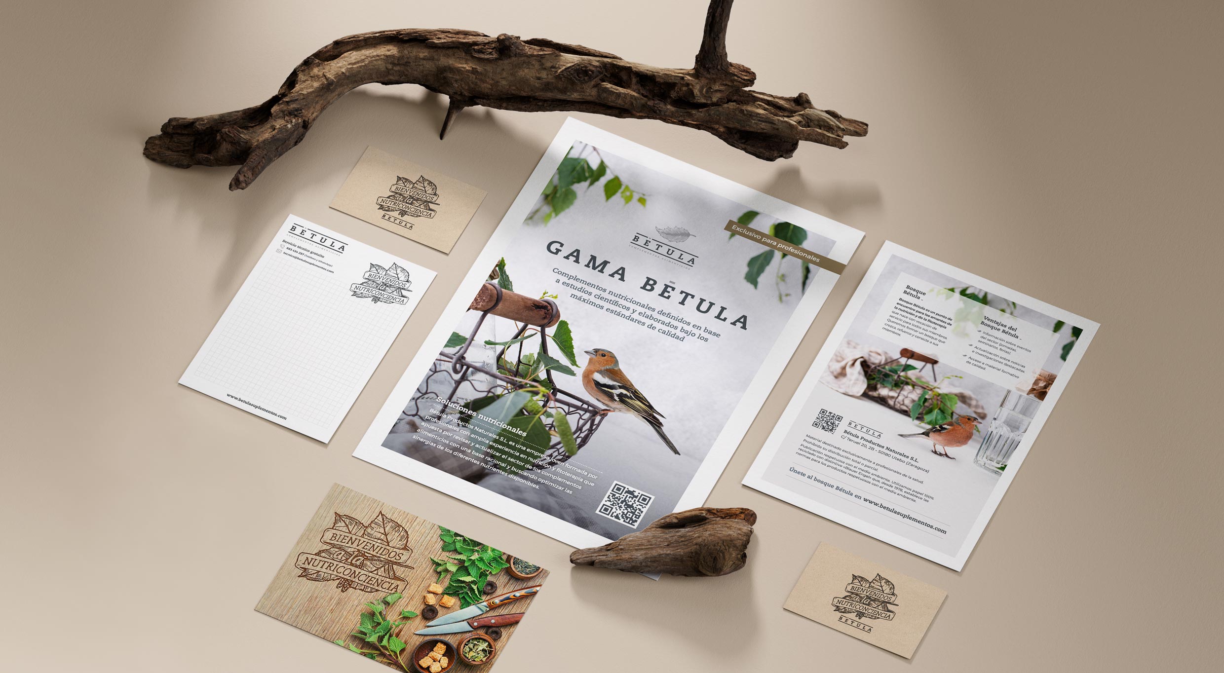 Diseño y desarrollo web tienda online Betula